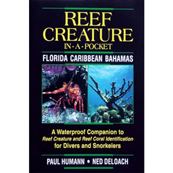 Creature-in-a-pocket Florida, Caribbean, Bahamas